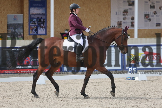 Birkhof_2024_Prfg.Nr.14_Ü45-Dressurprüfung_Kl.A_Bianca Fiand_Chianti BBF (3) | Alle Fotos der Reiterjournal Fotografin Doris Matthaes im Reiterjournal Online-Fotoshop. - Realized with Pictrs.com