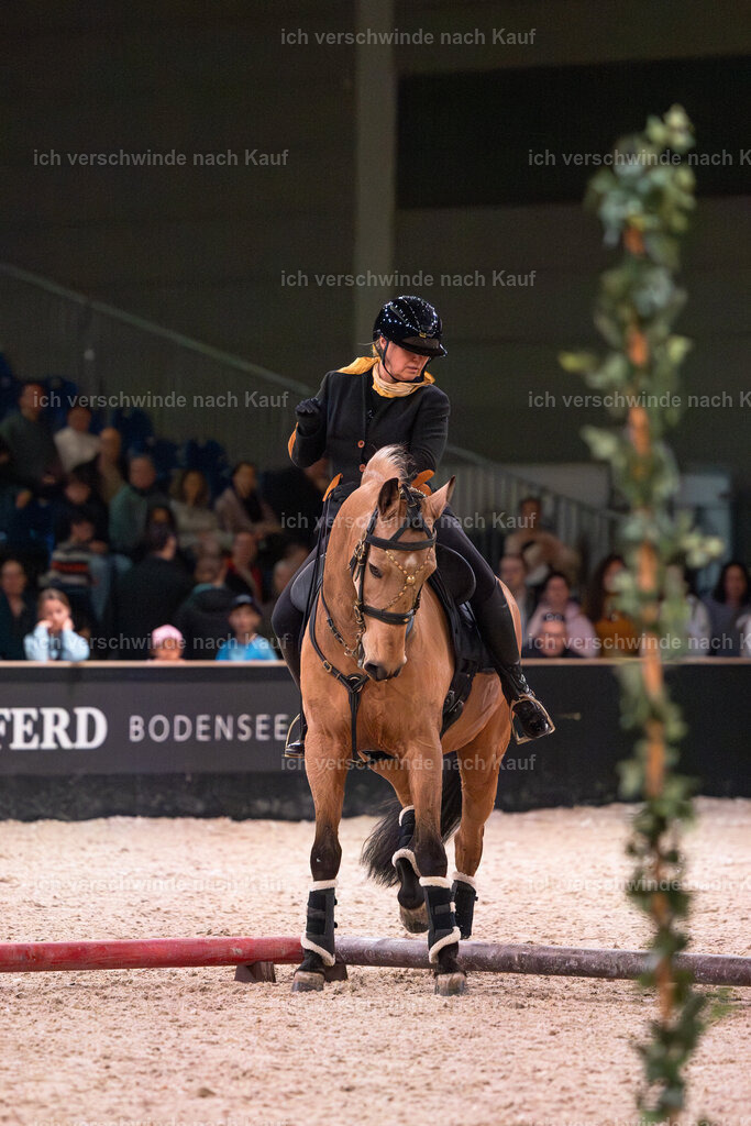 JoseraCup-132 | working equitationturnier fotograf videograf stoibphotography marixx film working equitation deutschland reitsport turnierfotografie eventfotografie equestrian events