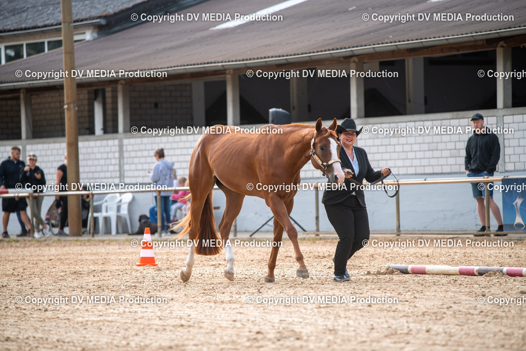 EWP_5548 | dv-media-shop - Realisiert mit Pictrs.com