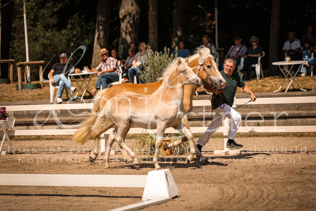 06.DoH00044 | Leoni Ertmer Photography - Realisiert mit Pictrs.com