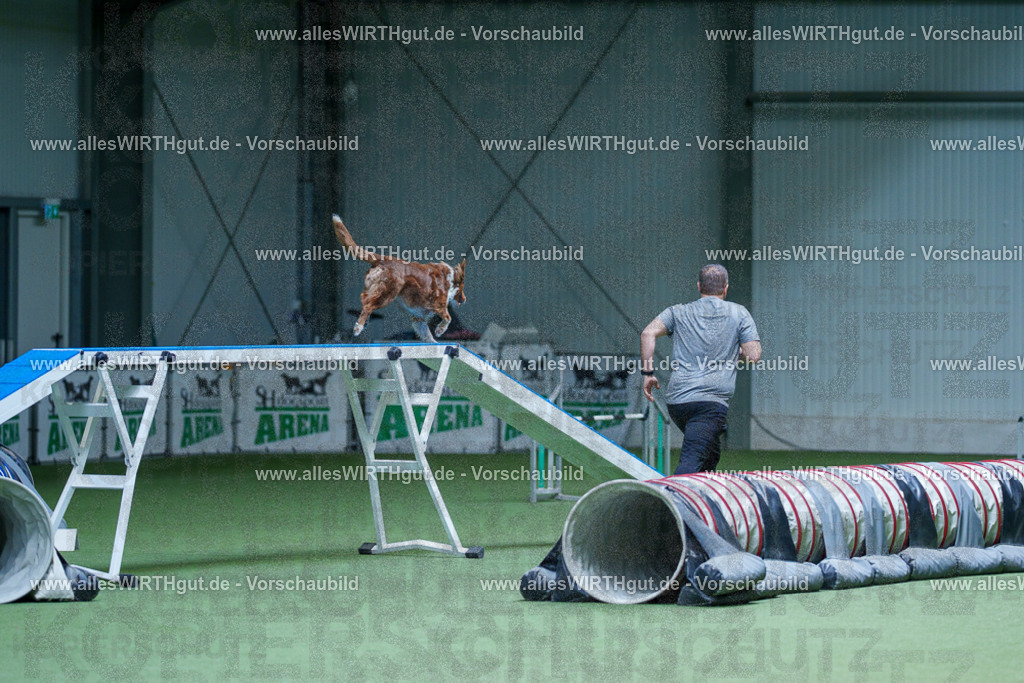 @allesWIRTHgut_Tierfotografie - www.allesWIRTHgut.de - 2604251227-7R501812 | Professionelle Tierfotografie in Mönchengladbach von Daniel Wirth (allesWIRTHgut). Liebevolle & natürliche Bilder von Hunden & Katzen für unvergessliche Erinnerungen.