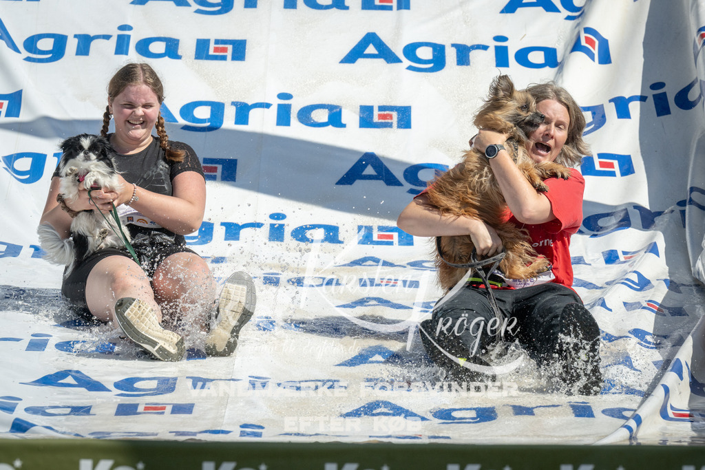 1215_ZZ95568 | kk-dogfotos