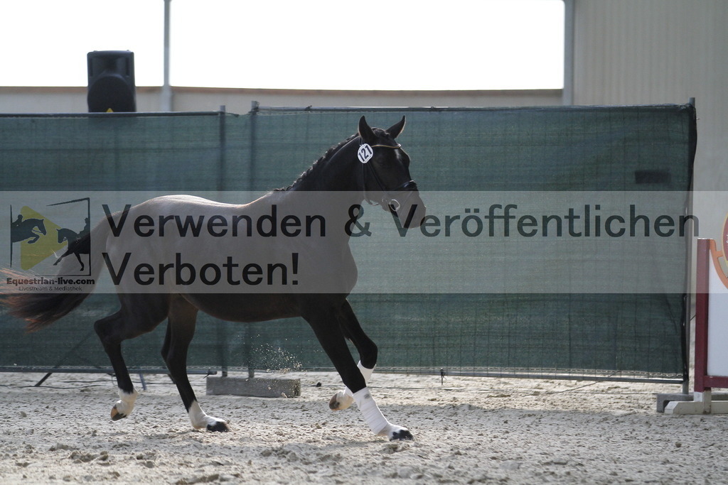 _MG_9511 | equestrian-live-com