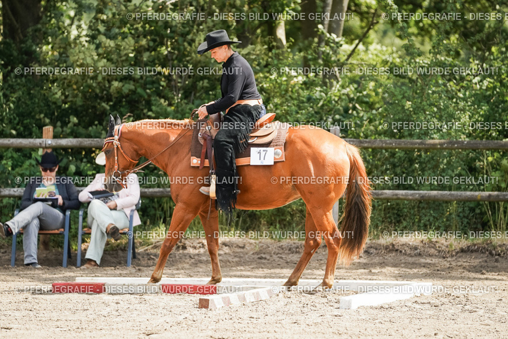 DSC06090 | Pferdegrafie