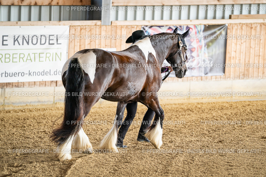 DSC07546 | Pferdegrafie