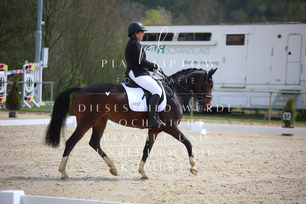 IMGT2578 | pl-fotografie