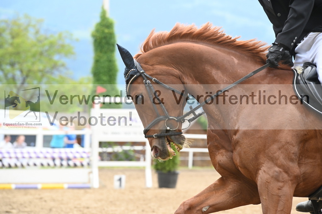 DSC_8139 | equestrian-live-com