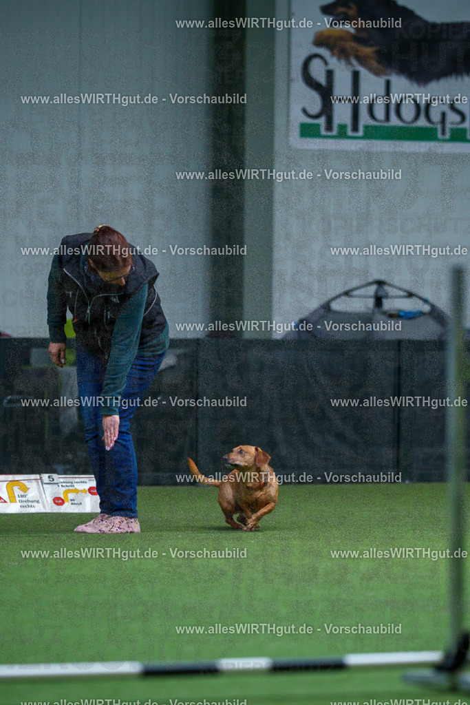 7R501866 | Professionelle Tierfotografie in Mönchengladbach von Daniel Wirth (allesWIRTHgut). Liebevolle & natürliche Bilder von Hunden & Katzen für unvergessliche Erinnerungen.