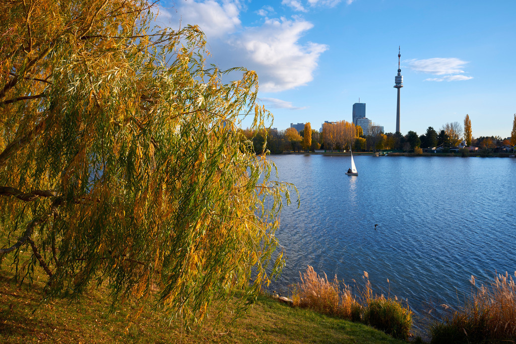 kleines Segelboot auf der Alten Donau | Wien, Austria - November 05, 2021: kleines Segelboot auf der Alten Donau, im Hintergrund der Donauturm. - Realisiert mit Pictrs.com