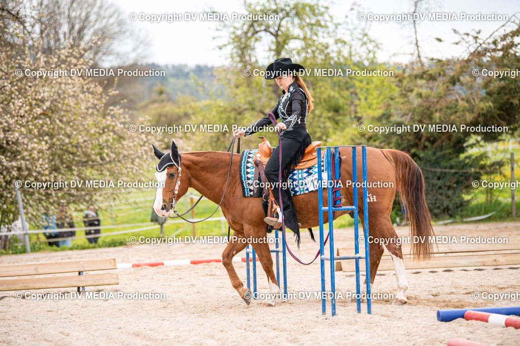 Balingen Tag 2-330 | dv-media-shop - Realisiert mit Pictrs.com