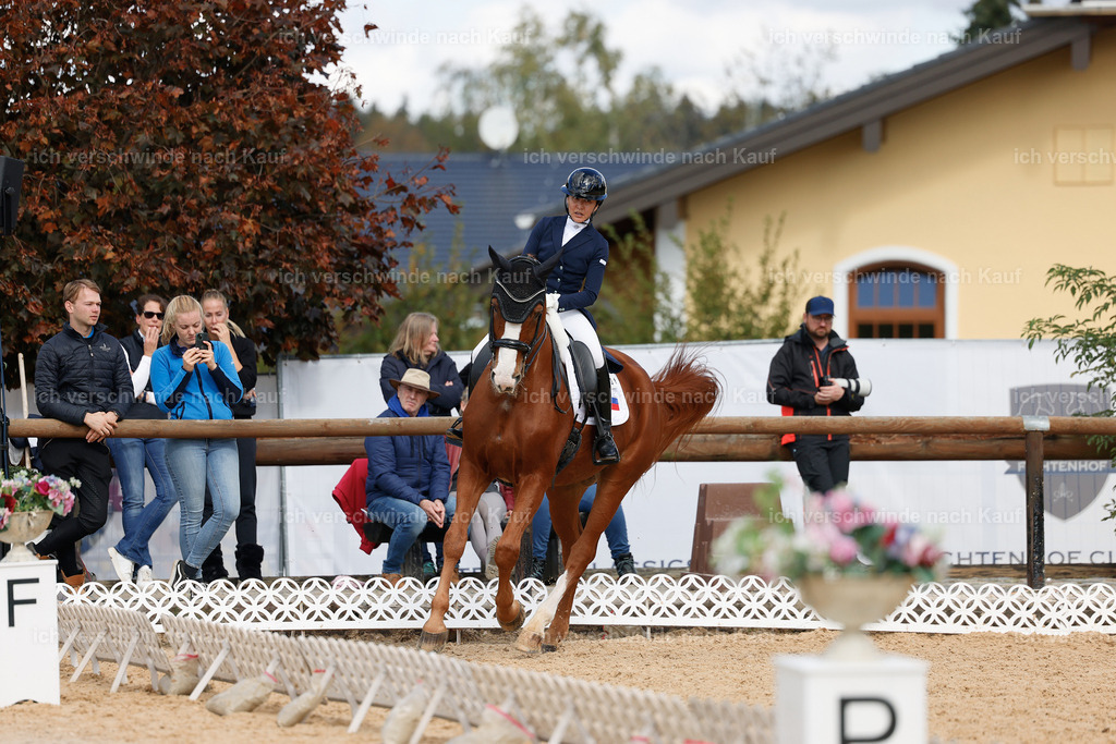 09_2-231-DRESSUR  S_  -StoibPH-5921 | working equitationturnier fotograf videograf stoibphotography marixx film working equitation deutschland reitsport turnierfotografie eventfotografie equestrian events