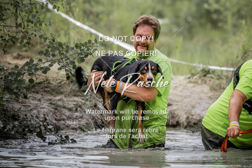 nelerasche_so0800-0930_145 | nelerasche