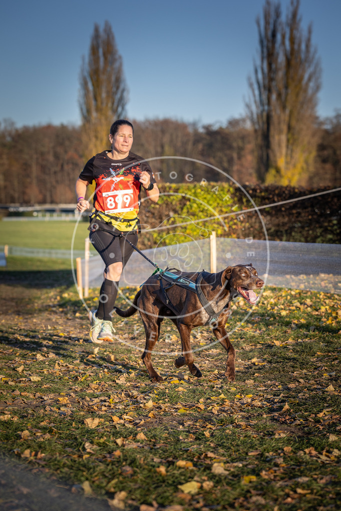 CaniXpix_DV3A4592 | Hundefotografie, Tierfotograf, Pfotenfotografie, Fotoshooting Hund, Hunde Portrait, Hundesport, Hundeportraits, Heideshooting, Hunde, Sportfotograf, Hundefotograf, Turnierhundsport, THS,  - Realisiert mit Pictrs.com
