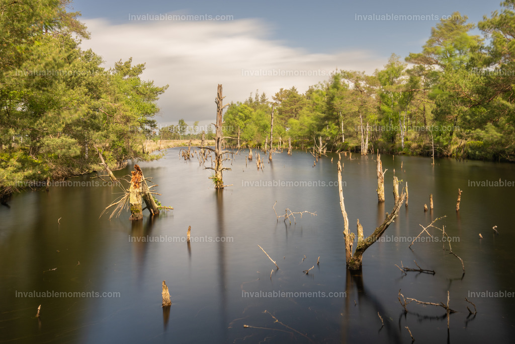 DSC_3312 | invaluablemoments.com - Realisiert mit Pictrs.com