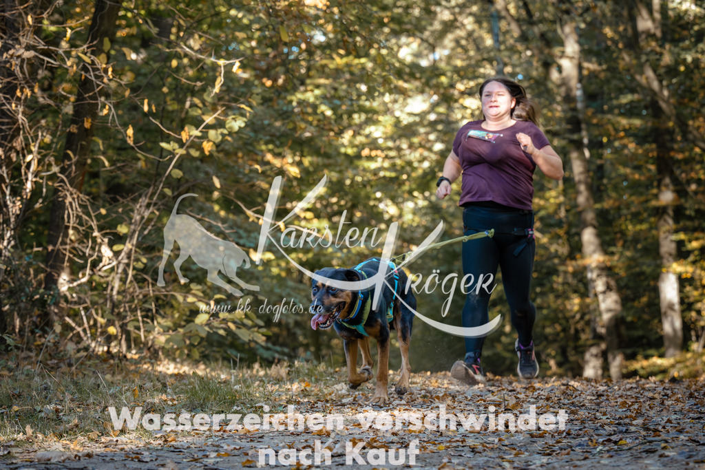 1105_ZZ91558 | kk-dogfotos