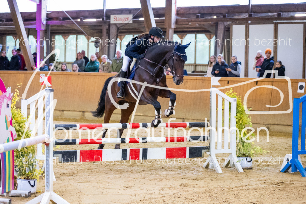 Sth-A-Spr.m.st.A.-039 | MomenTaufnahmen Pferdesportfotos