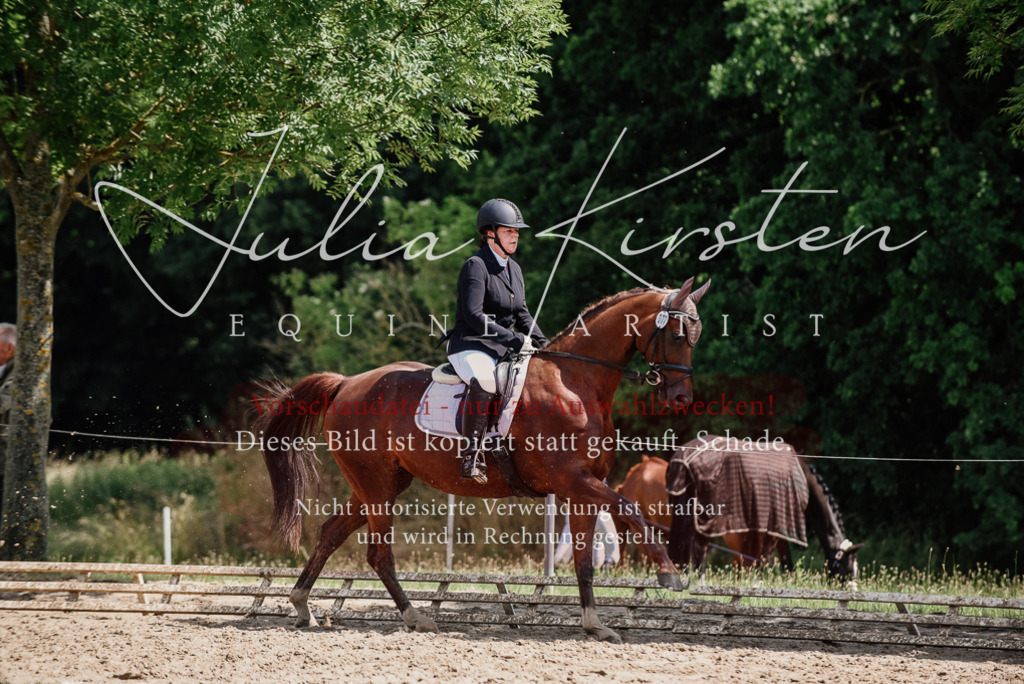 DSC_1333 | Pferde- und Turnierfotografie in Westsachsen. Pferdeportraits, Auftragszeichnungen und intuitive Kunst.