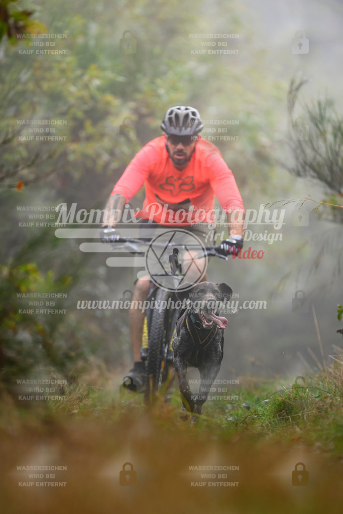 MompixPhotography_20TSB_E4_Bike-139 | PayLife