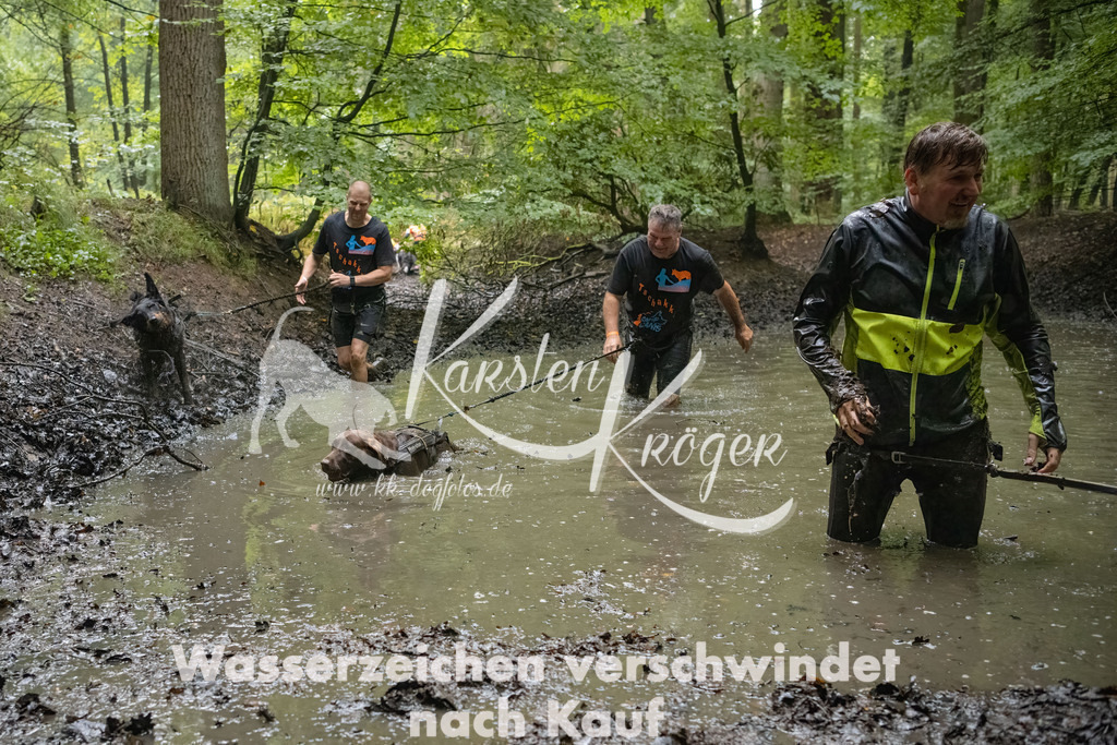 0959_ZZ91700-Bearbeitet | kk-dogfotos
