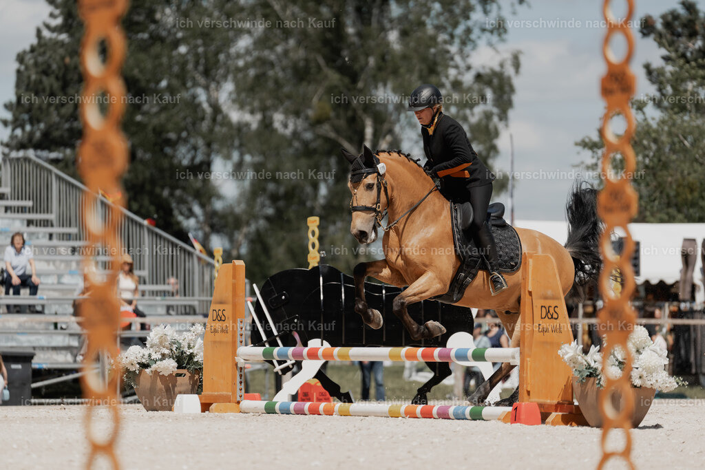 WE_ST_Stoib_319_PI2025_1285 | Pferd International München 2025