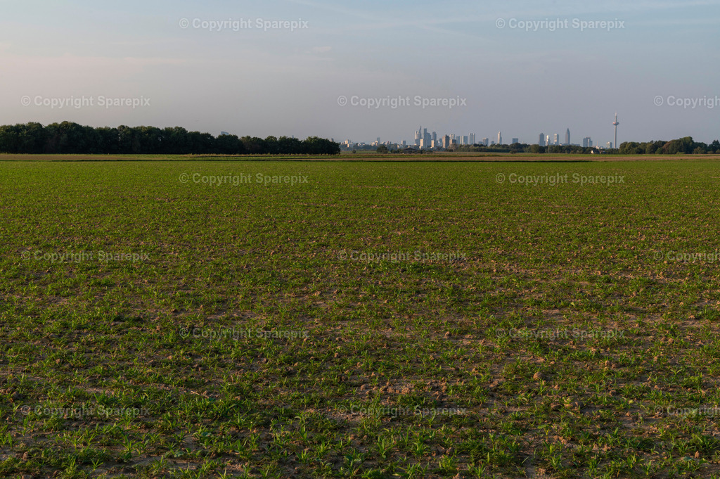 CAR_Agri_plowed+Skyline4 | Camera height 1,30m - light 8/15° - Realisiert mit Pictrs.com