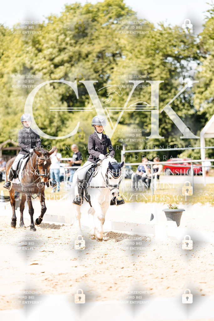 CK901902 | Turnierfotografie Pferdefotografie Trier Rheinland-Pfalz Pferdesport Reitsport Tierfotografie Sportfotografie Pferdevideo Pferdevideografie Equestrianvideography equestrianphotography  - Realisiert mit Pictrs.com