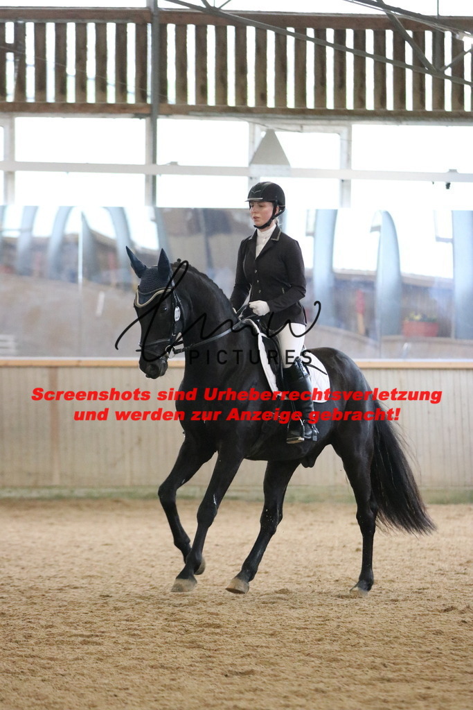 IMG_6736 | lmwpictures - Realisiert mit Pictrs.com