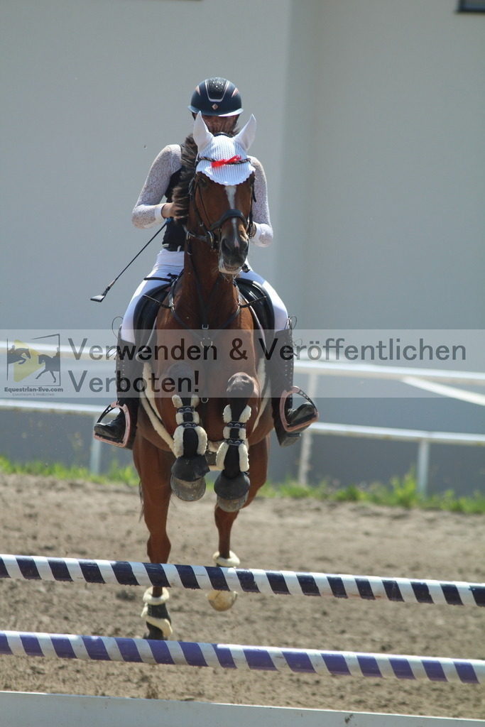 IMG_3524 | equestrian-live-com