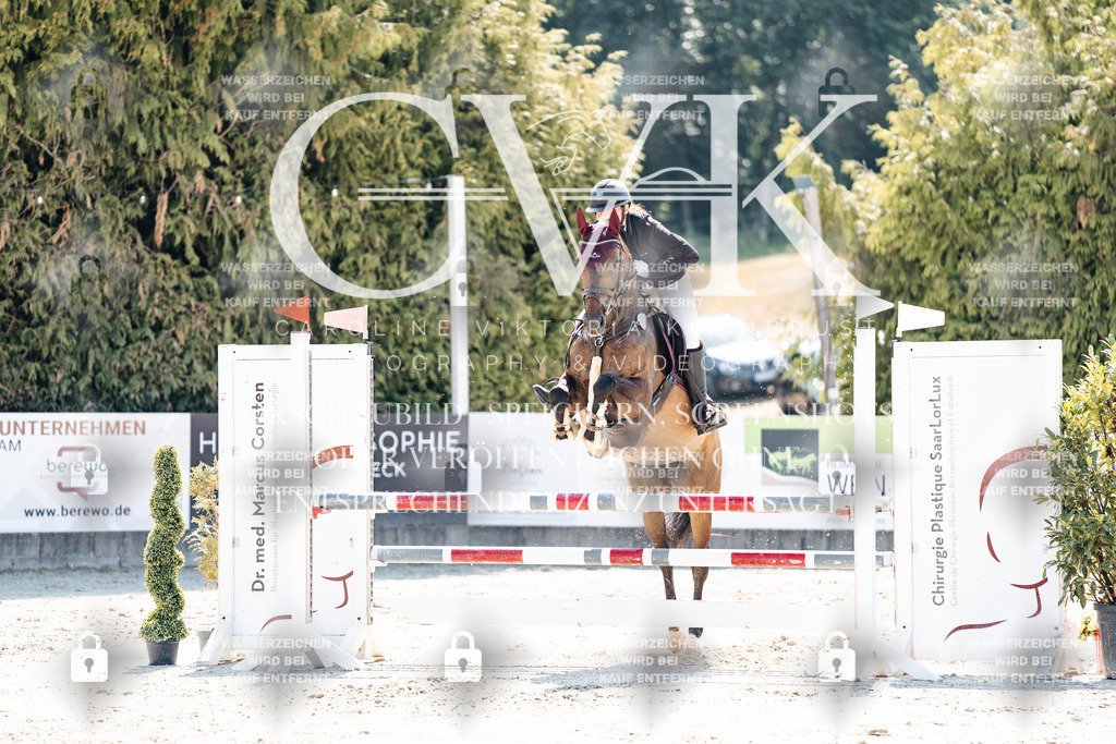 CK908876 | Turnierfotografie Pferdefotografie Trier Rheinland-Pfalz Pferdesport Reitsport Tierfotografie Sportfotografie Pferdevideo Pferdevideografie Equestrianvideography equestrianphotography  - Realisiert mit Pictrs.com