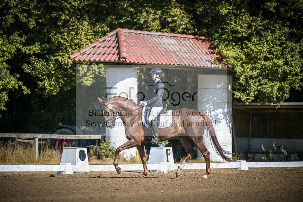 DOS_2129 | Entdecke hochwertige Reitturnierfotos von Foto Oger. Professionell, emotional und authentisch – jetzt Lieblingsmomente im Shop bestellen.Deutschlandweite Turnierfotografie. - Realisiert mit Pictrs.com