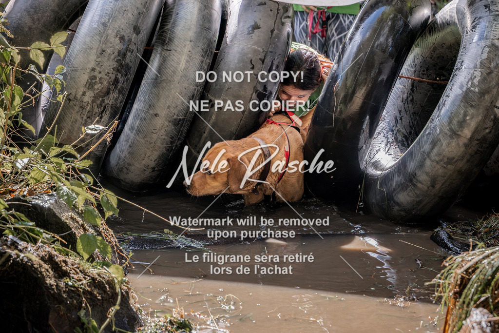nelerasche_Hunsrück2026_Sa1400-1500_32 | nelerasche