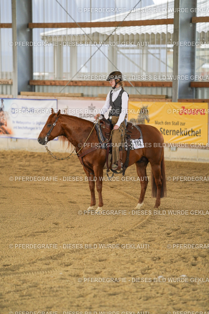 DSC08972 | Pferdegrafie