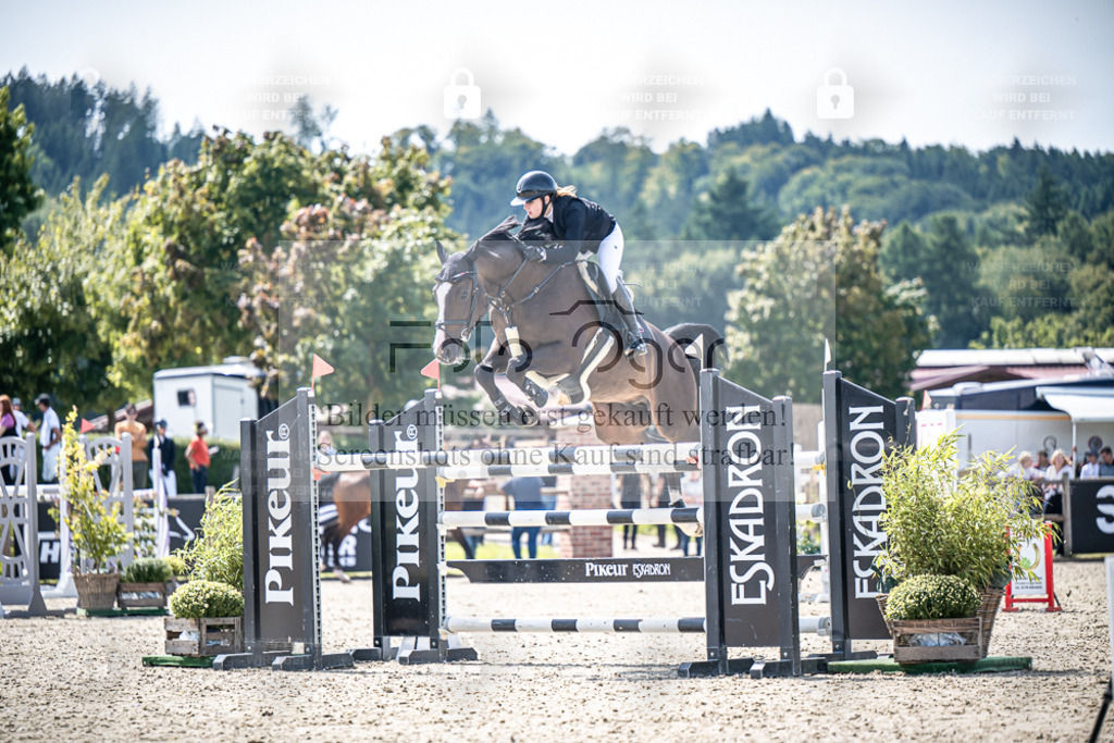 DOS_6880 | Entdecke hochwertige Reitturnierfotos von Foto Oger. Professionell, emotional und authentisch – jetzt Lieblingsmomente im Shop bestellen. - Realisiert mit Pictrs.com