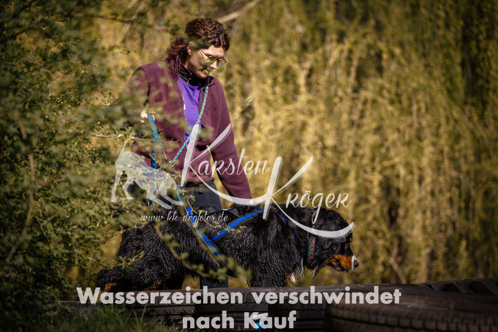 1040_ZZ98664 | kk-dogfotos