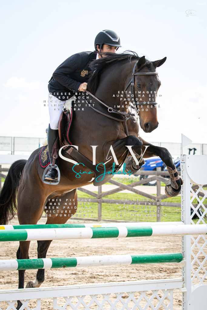 IMG_2429 | s-jay-photography - Realisiert mit Pictrs.com