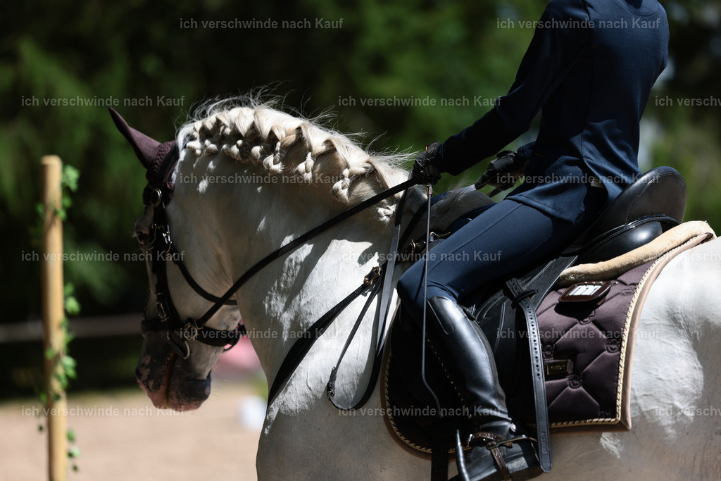 KlasseE_Stoibphotography_CAM22546.JPG | working equitationturnier fotograf videograf stoibphotography marixx film working equitation deutschland reitsport turnierfotografie eventfotografie equestrian events