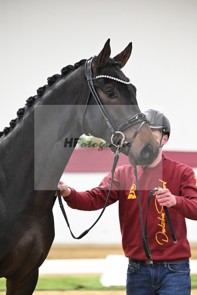 Kat-Nr. 66 Feliciano x Fidertanz_Franz Winklmaier_47252492 | hf-fotografie - Realisiert mit Pictrs.com