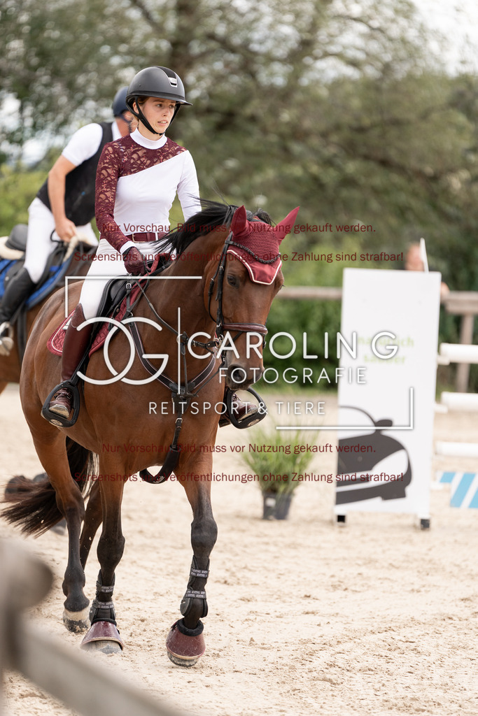 DSC06571 | Springturnier_Teamchallege_Talheim_2026, Shakira-Vivien_Weber, Little_Dollar_Girl