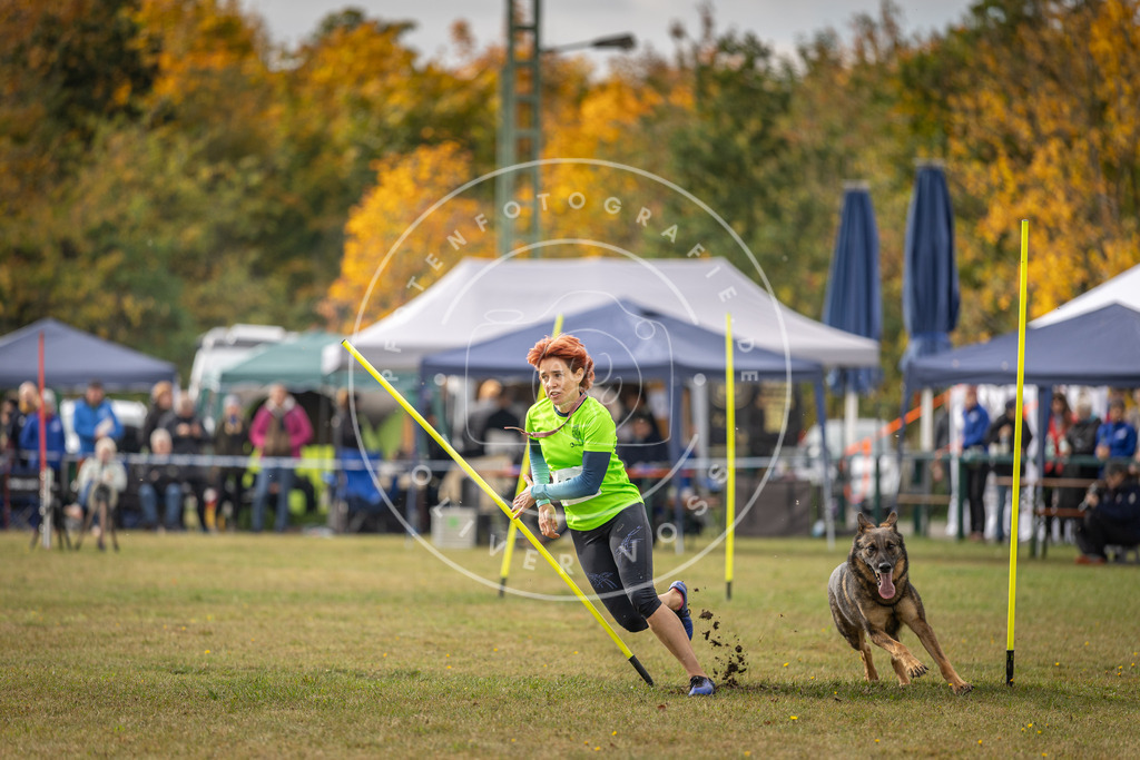 Pfotenfotografie_DV3A6993 | Hundefotografie, Tierfotograf, Pfotenfotografie, Fotoshooting Hund, Hunde Portrait, Hundesport, Hundeportraits, Heideshooting, Hunde, Sportfotograf, Hundefotograf, Turnierhundsport, THS,  - Realisiert mit Pictrs.com