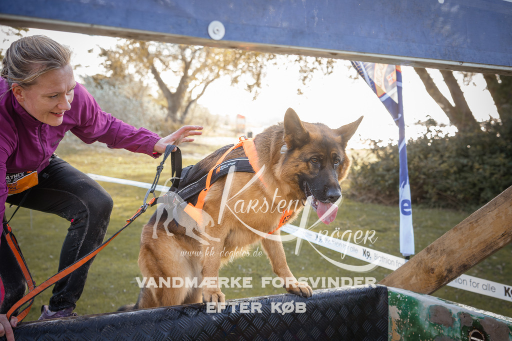 1226_ZZ96267-2 | kk-dogfotos