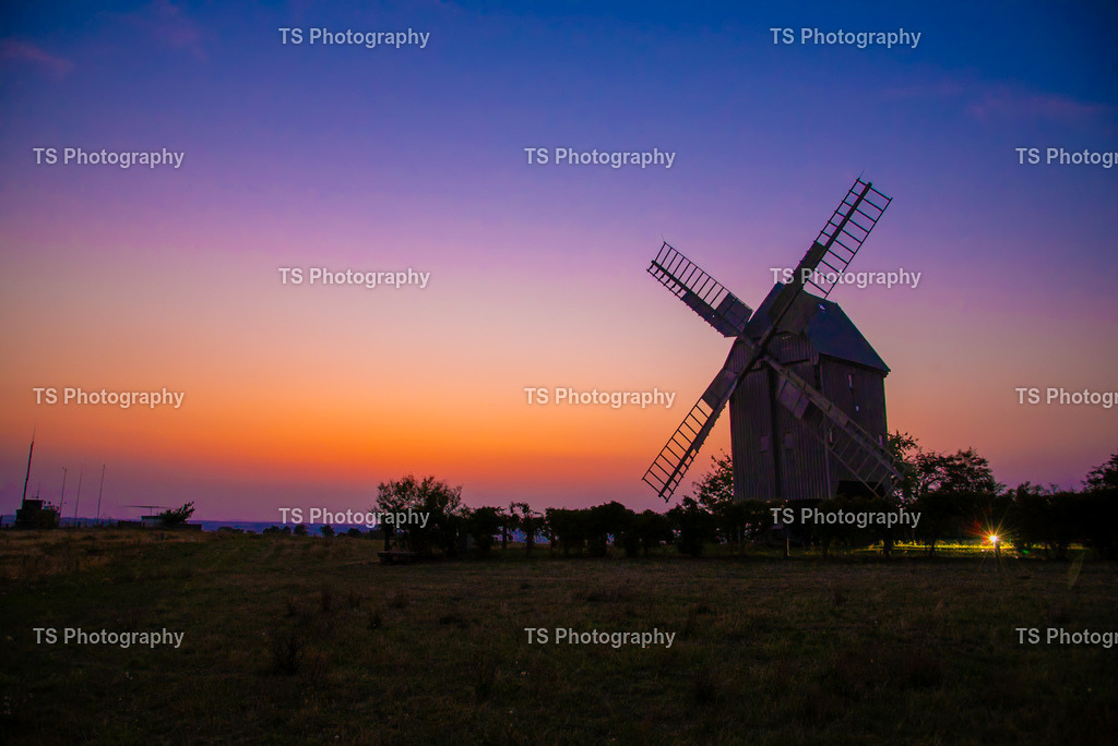 _DSC5495 | TS Photography - Realisiert mit Pictrs.com
