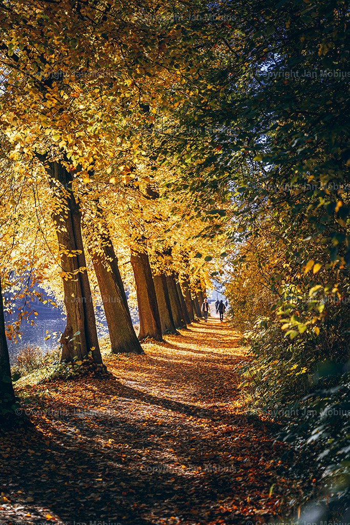 _DSC7149 | Leipzig Wandbilder Drucke Prints Leinwand Stadtmotive Leipzig Fotosdruck Kunstdrucke Bilder Leipzig Stadtansichten Acrylglasbilder Leipzig Wanddeko Fine Art Prints Wandbilder Büro Leipzig Bilder Praxis Zuhause Bilderdruck Poster Posterlounge Kunstdrucke - Realisiert mit Pictrs.com