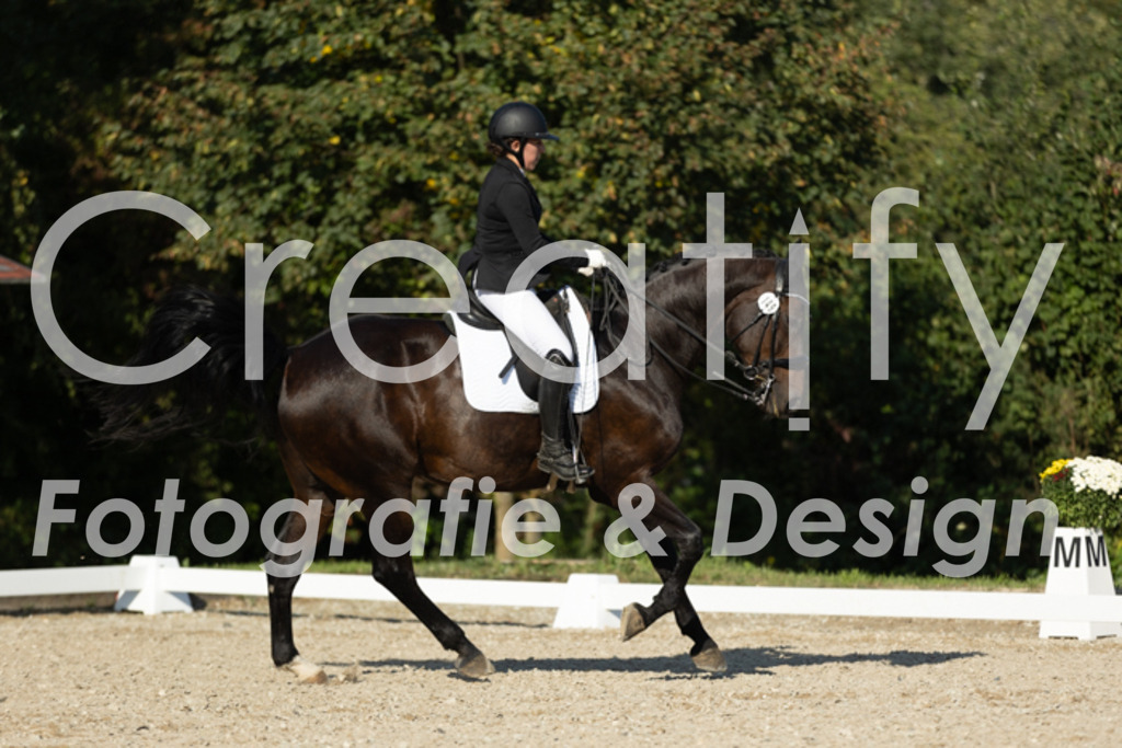 IMG_0842 | Creatify Fotografie