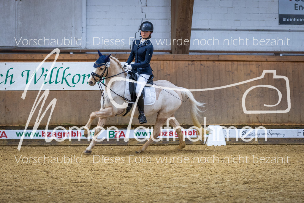 _M2A1667 | MomenTaufnahmen Pferdesportfotos