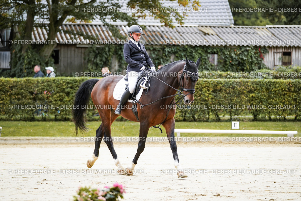 DSC04597 | Pferdegrafie