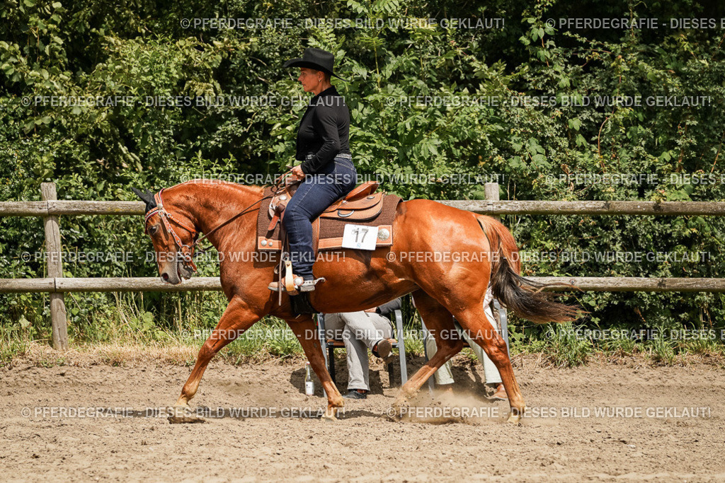 DSC00558 | Pferdegrafie