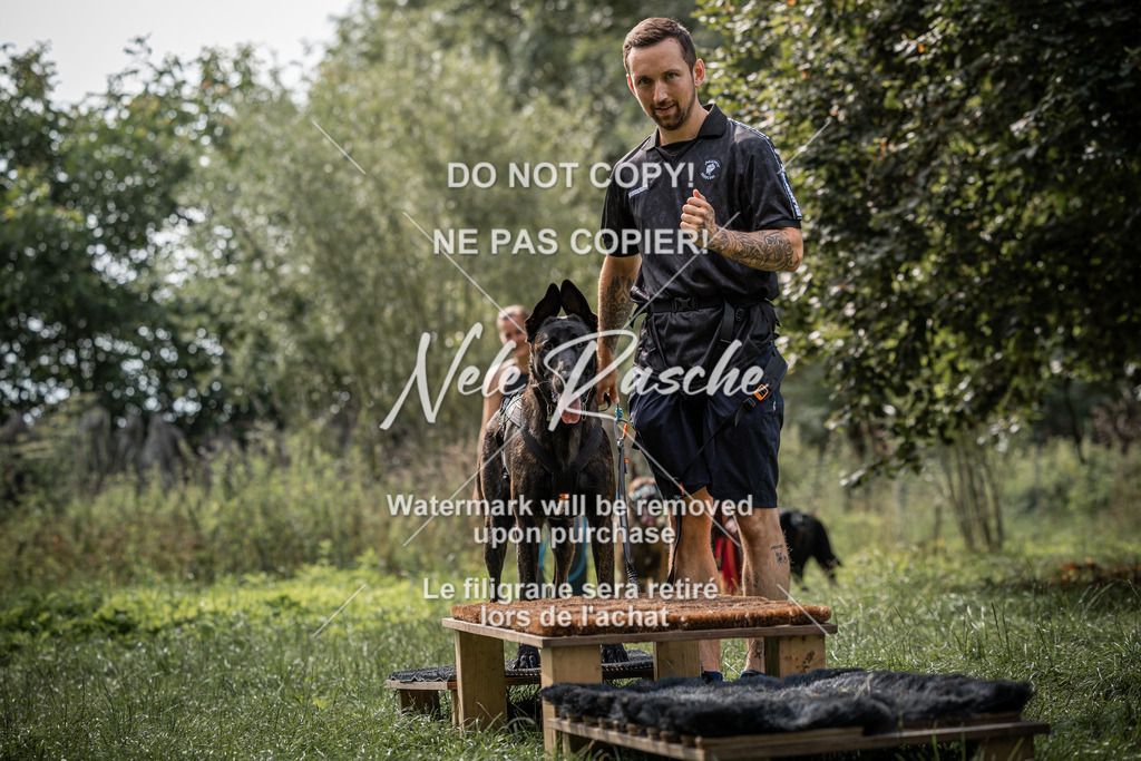 nelerasche_SoLauf_230 | nelerasche