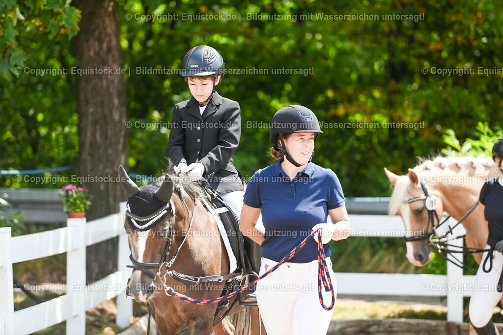 20230716_11_Führzügel-WB_0041 | equistock
