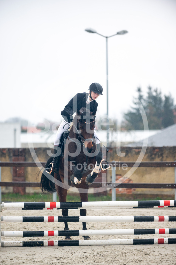 DSC_8986 | sattelsport - Realisiert mit Pictrs.com