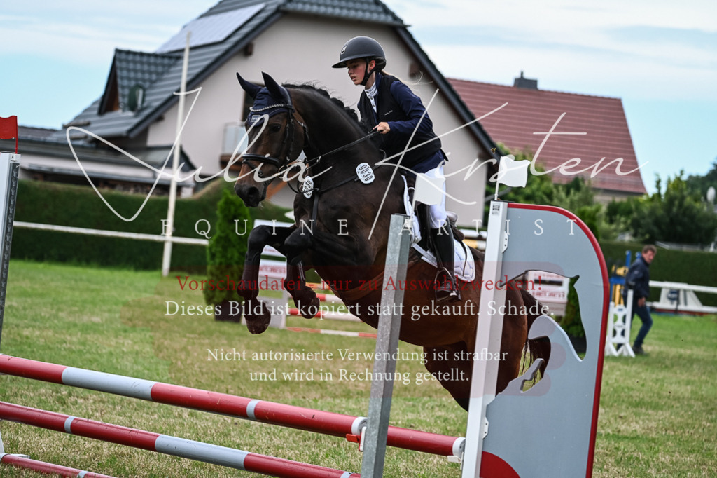 DSC_8573 | Pferde- und Turnierfotografie in Westsachsen. Pferdeportraits, Auftragszeichnungen und intuitive Kunst.
